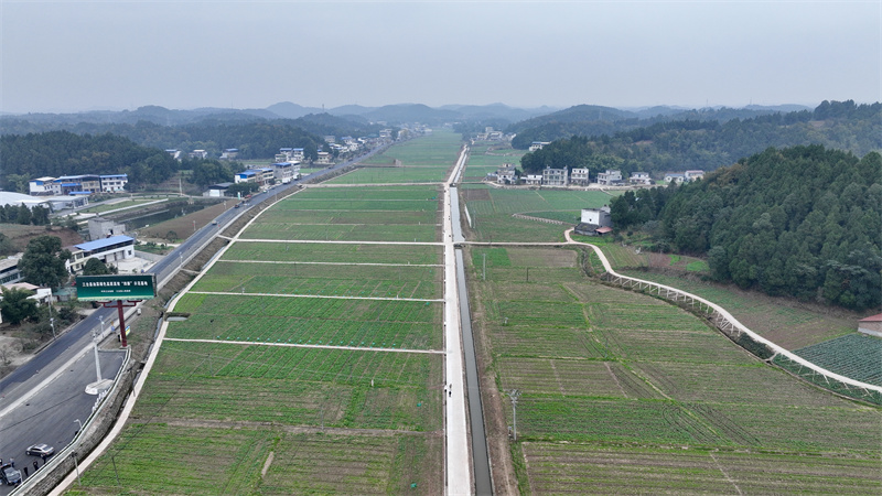 四川省三台县